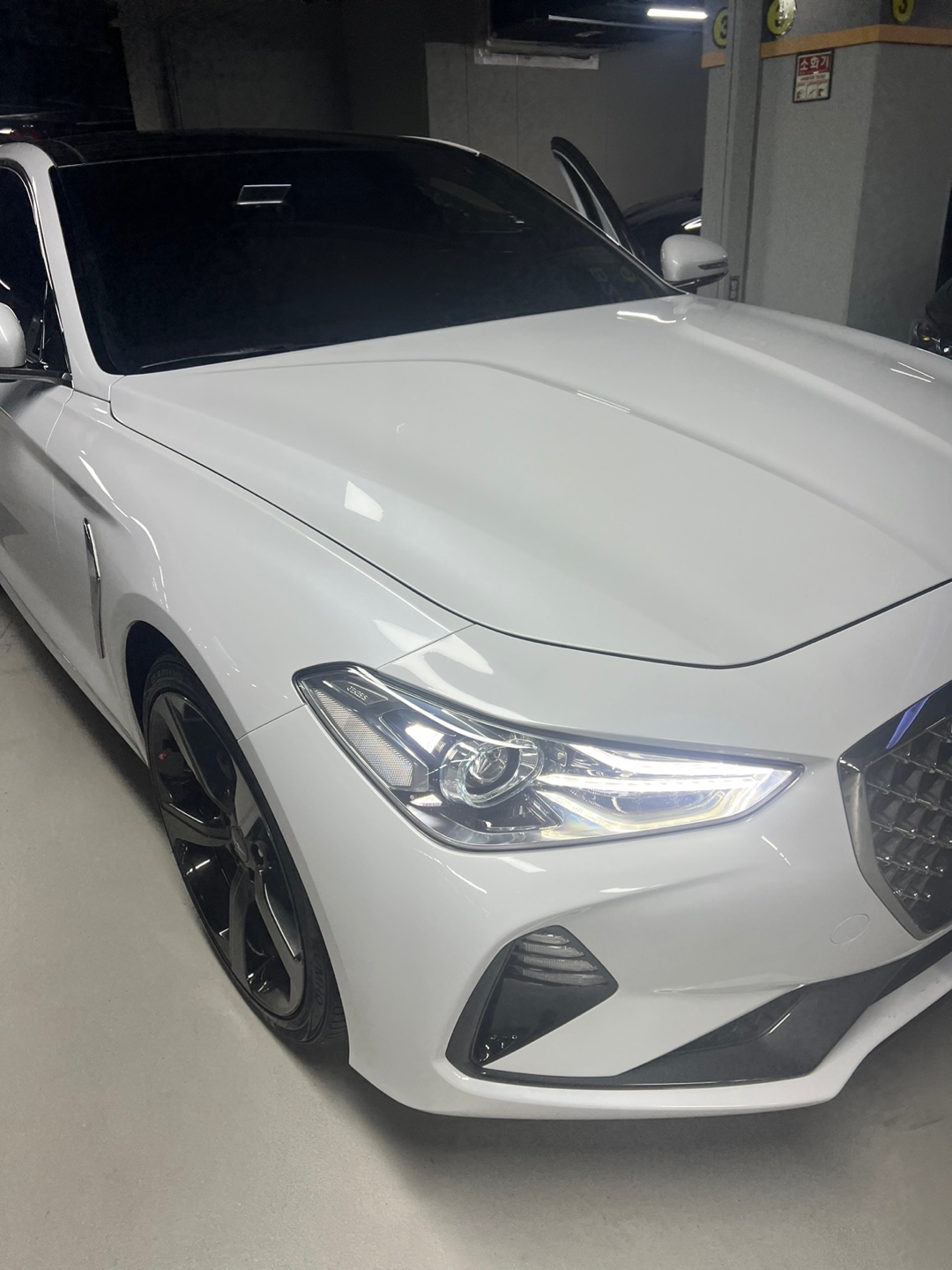3y7hp8h1qi80300665.jpg